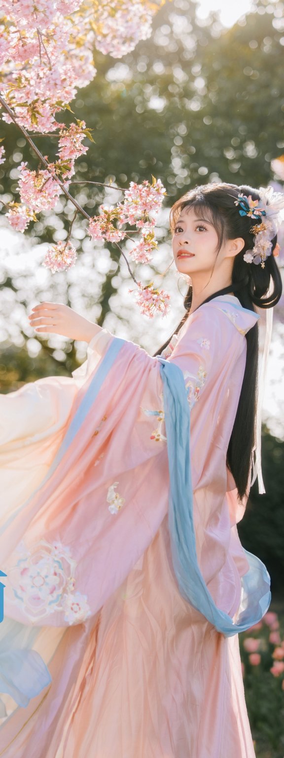 樱花雨 姚姚