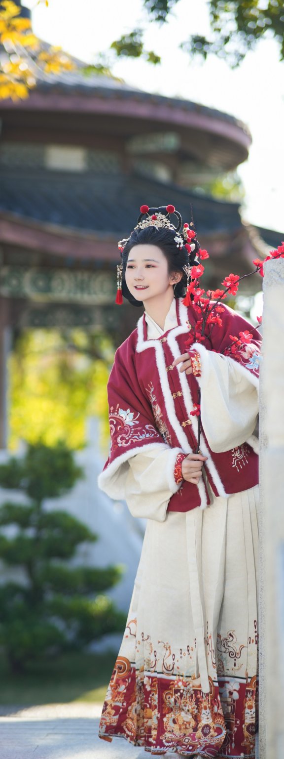 大红新年 一大块蛋糕